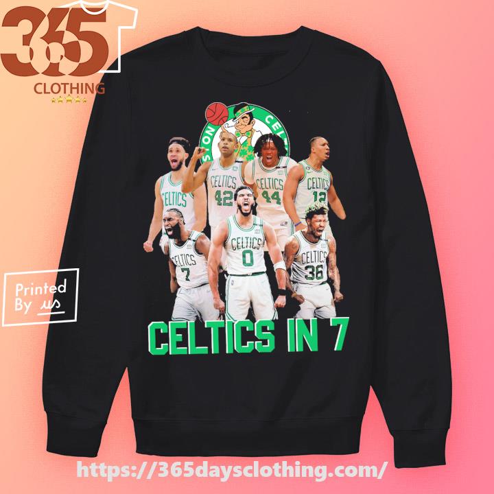 Boston Celtics in 7 sports team shirt, hoodie, sweater, long